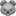 🐨